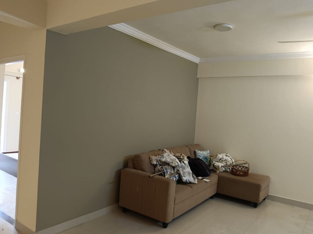Interior house painting, painting service,